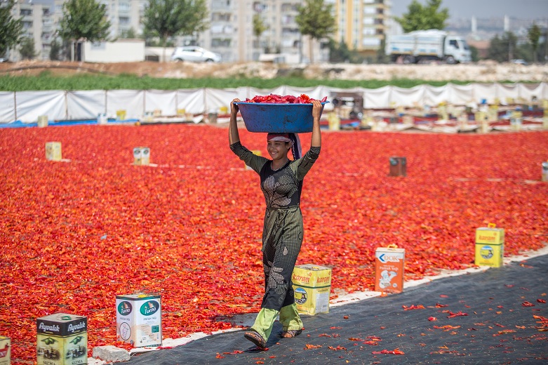 Çocuklar da çalışıyor